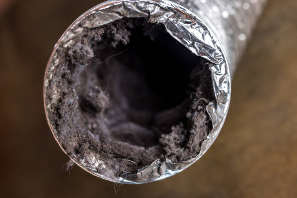 Best General Air Duct Cleaning  in Brentwood, MD